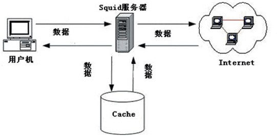 单窗口单ip代理服务器搭建